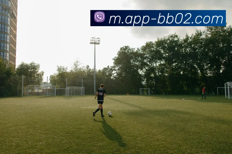 BB体育全站App